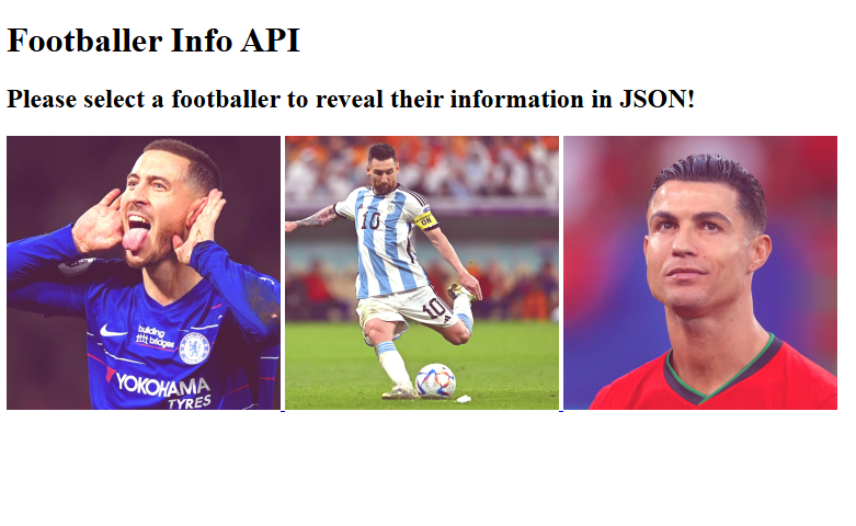 Footballer API Screenshot