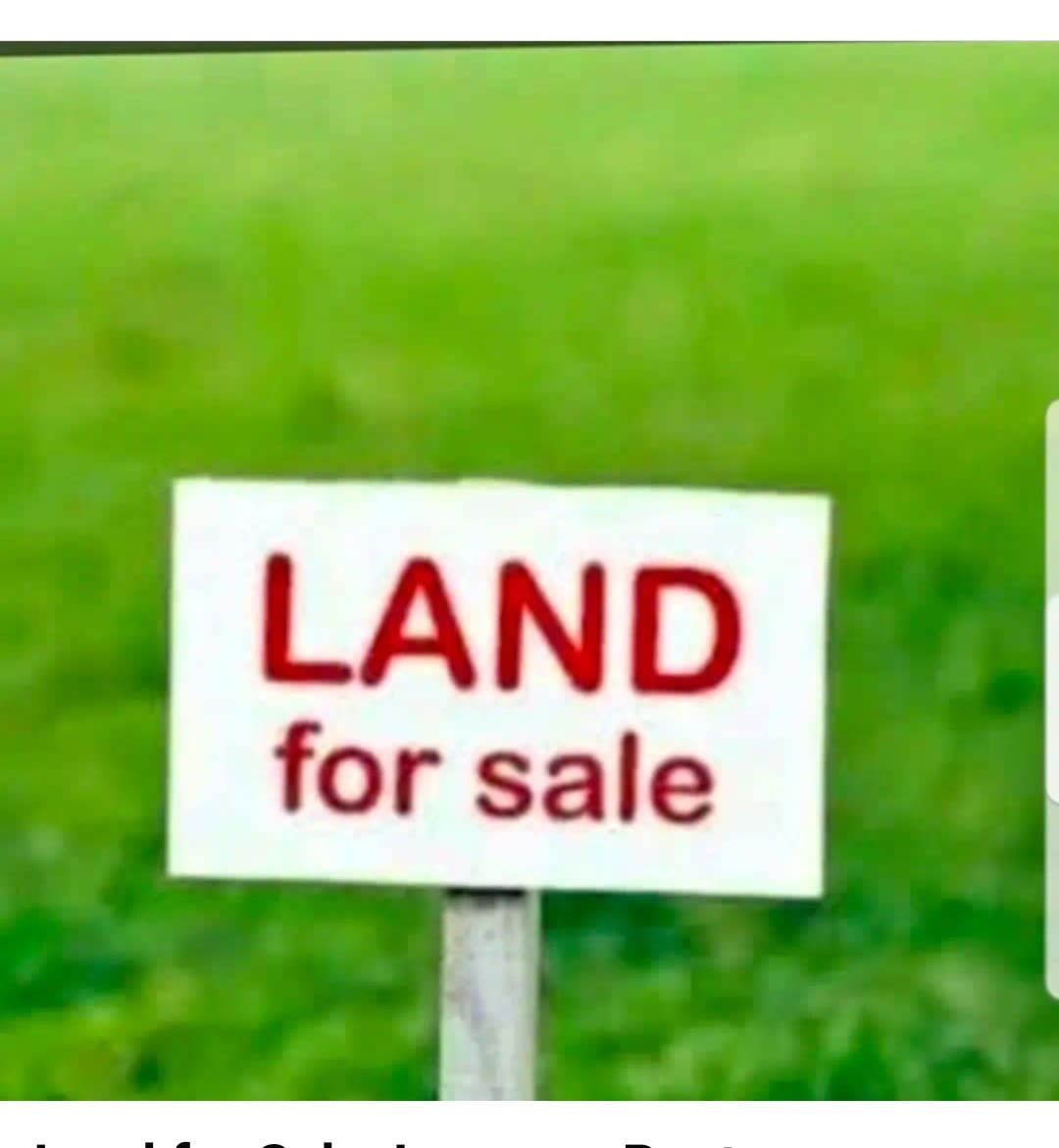 Land for Sale, Lease or Rent