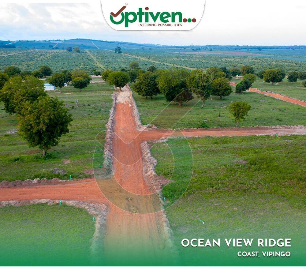 How Much Money Is Required to Purchase Land in Kenya Today? The Honest Breakdown