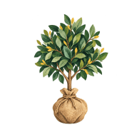 Baum mit verpacktem Wurzelballen; freie redaktionelle Illustration, keine Darstellung tatsächlicher Produkte oder Betriebsausstattung