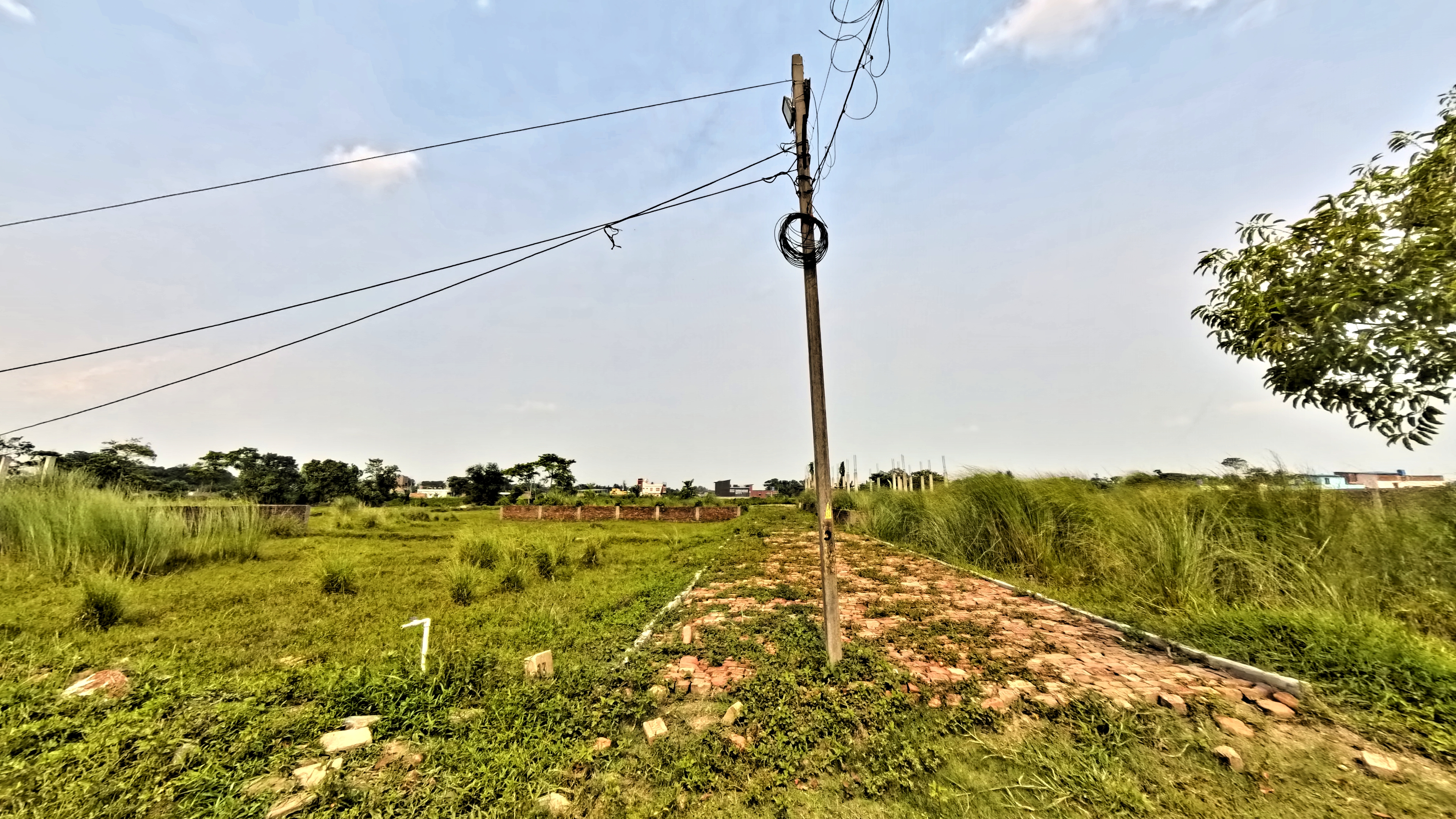 Rasapunja Township