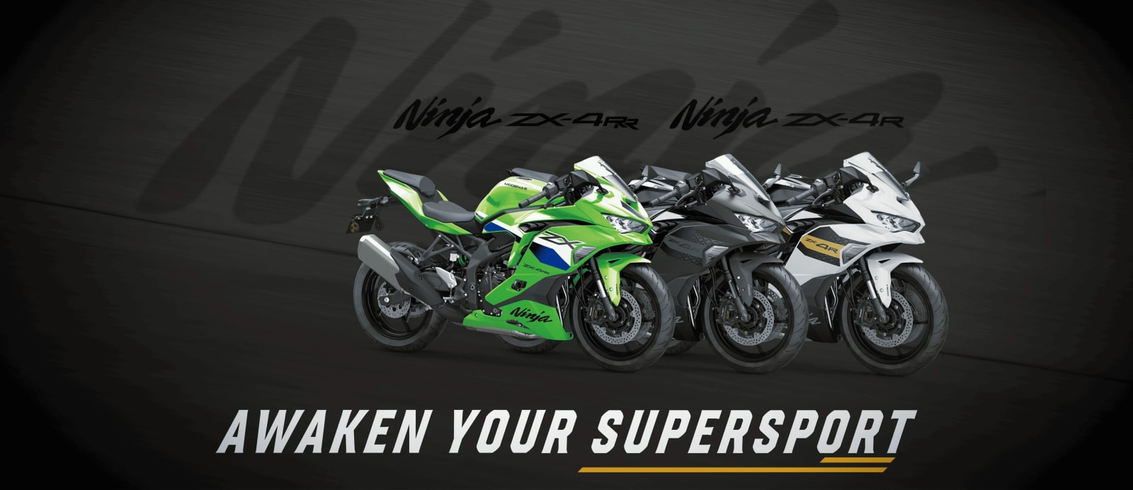 AVAILABLE NOW