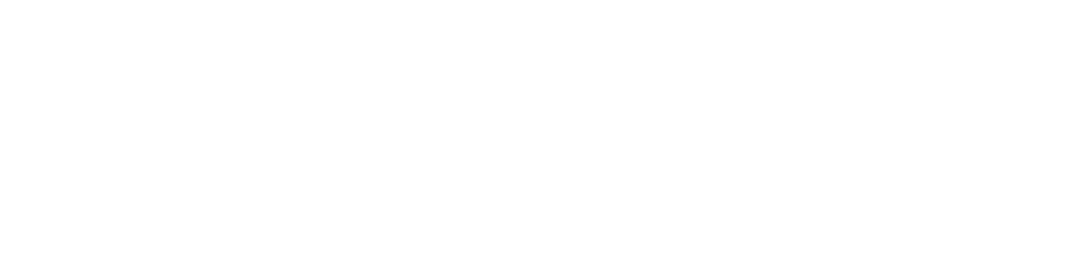ZX-4RR branding