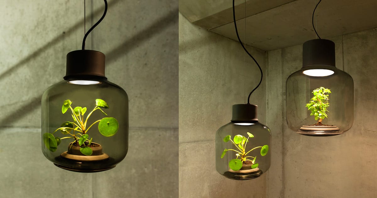 terrarium lamp