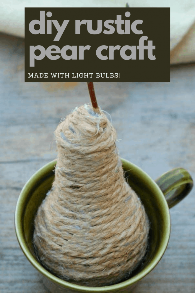 rustic twine light bulb pear