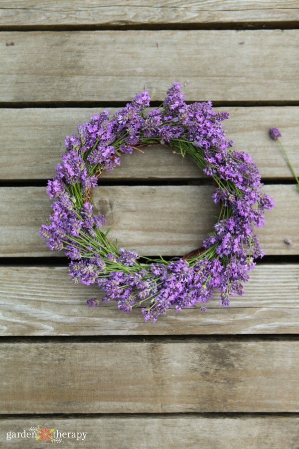 lavender wreath