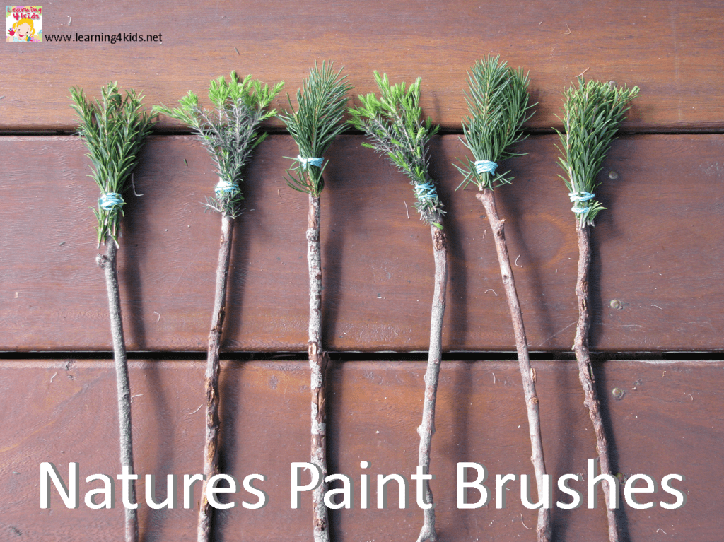 nature paintbrushes