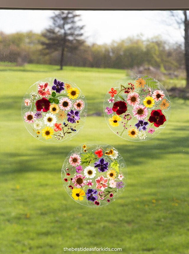pressed flower suncatcher