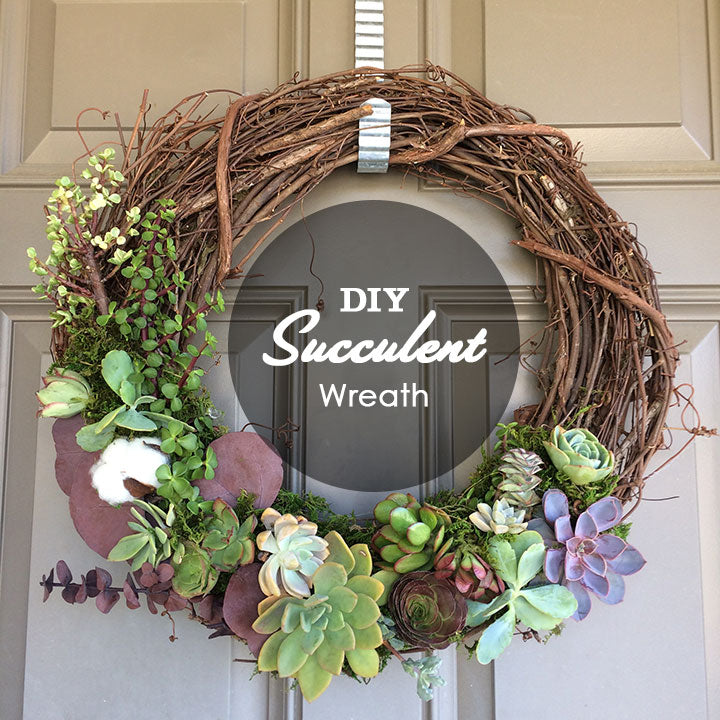 succulent grapevine wreath