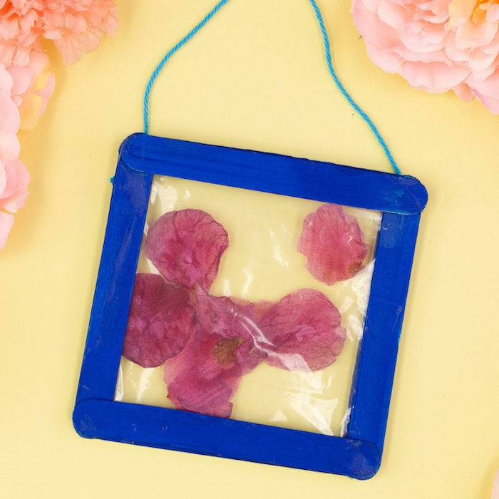 pressed_flower_frame