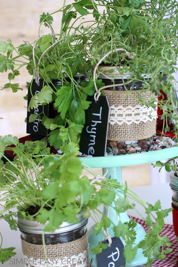 mason_jar_herbs