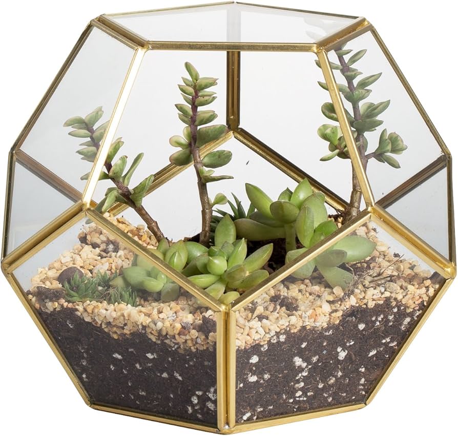 glass_terrarium