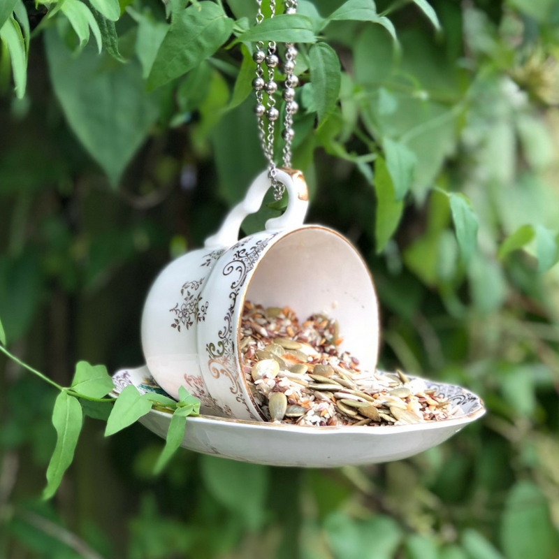 teacup_bird_feeder