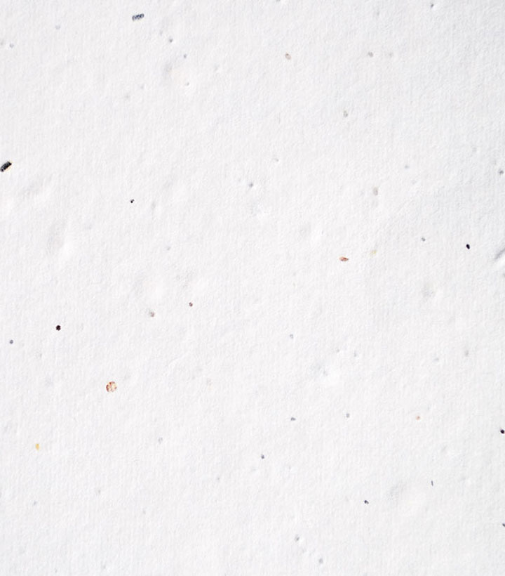 seed_paper