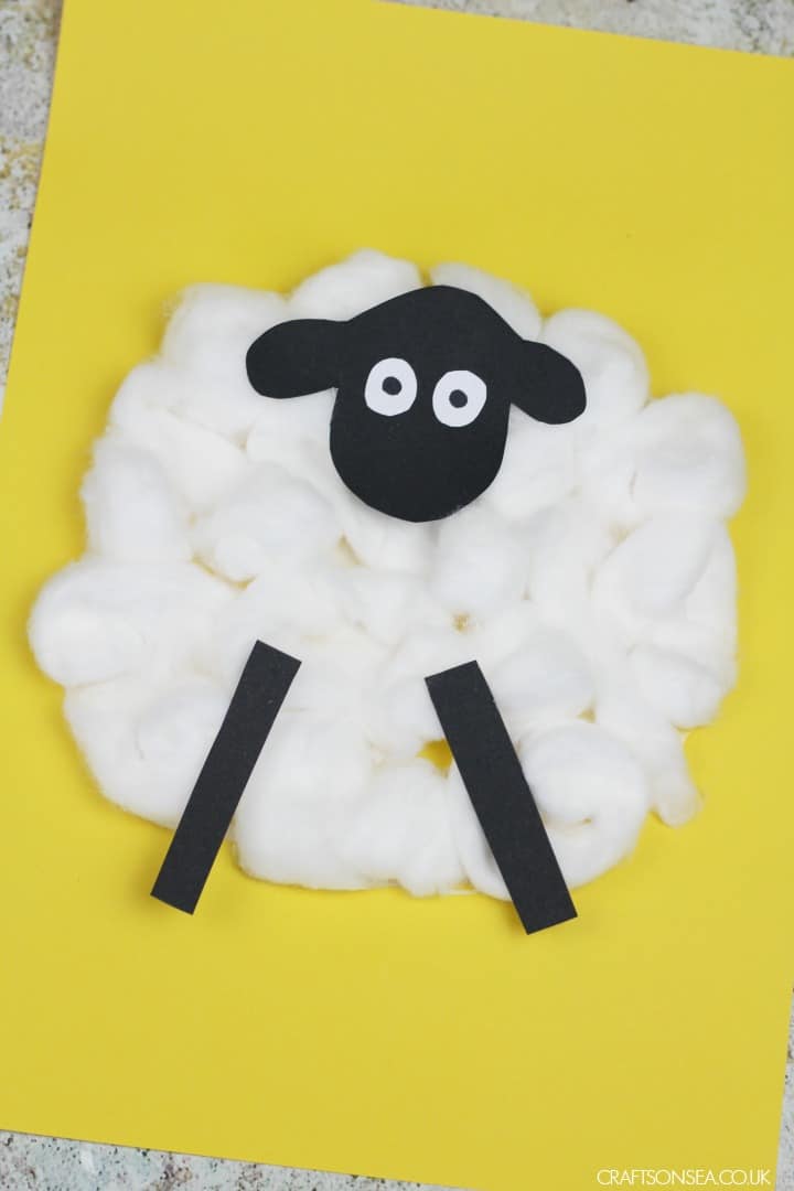 cotton ball sheep craft