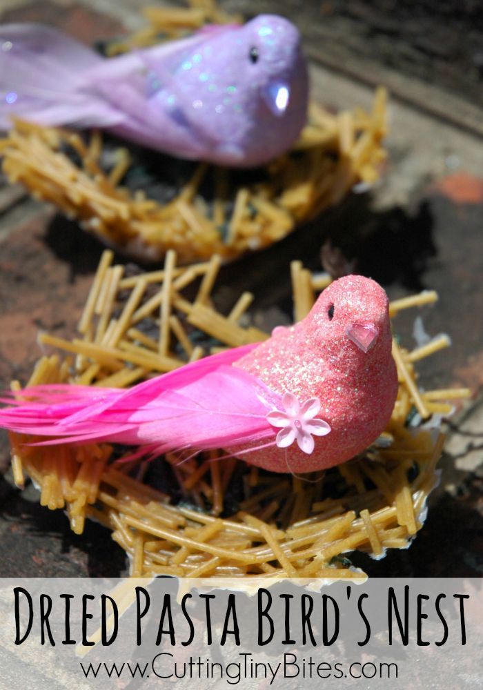 pasta bird nest craft
