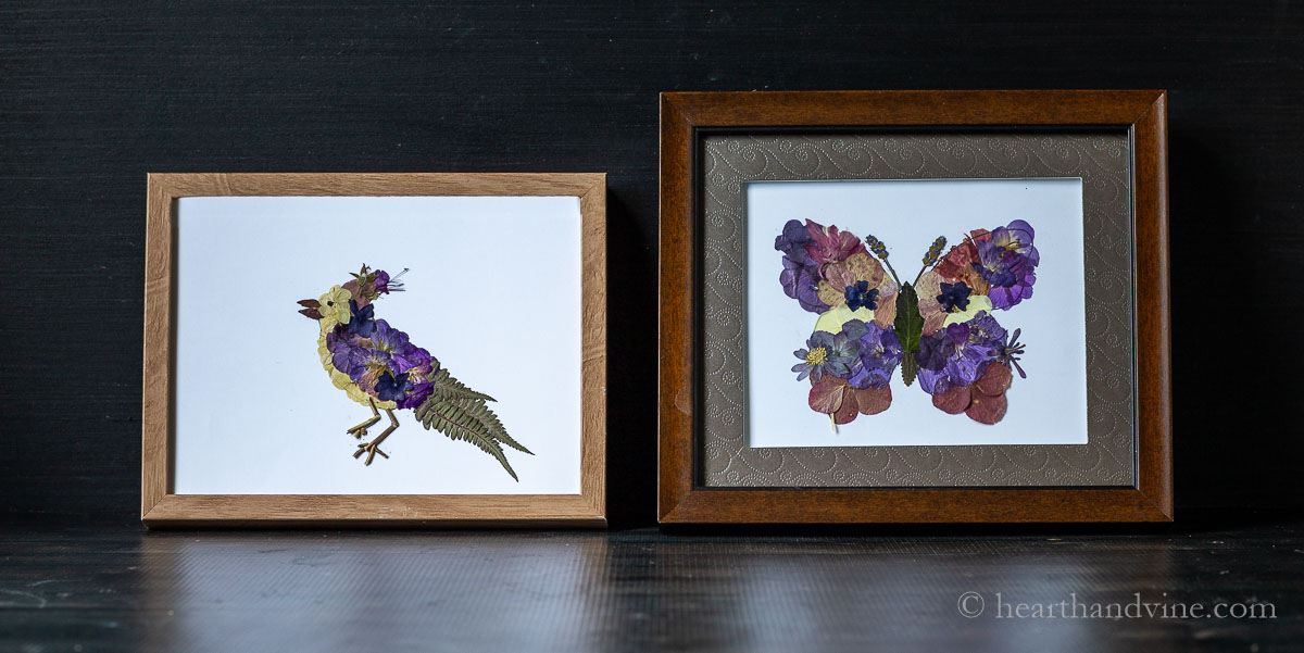 pressed flower butterfly art