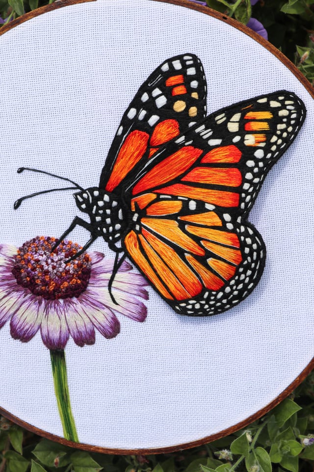 butterfly embroidery hoop