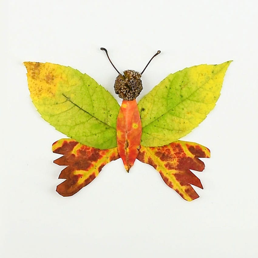leaf bug craft
