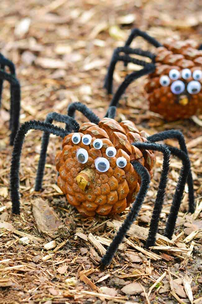 pinecone spider craft