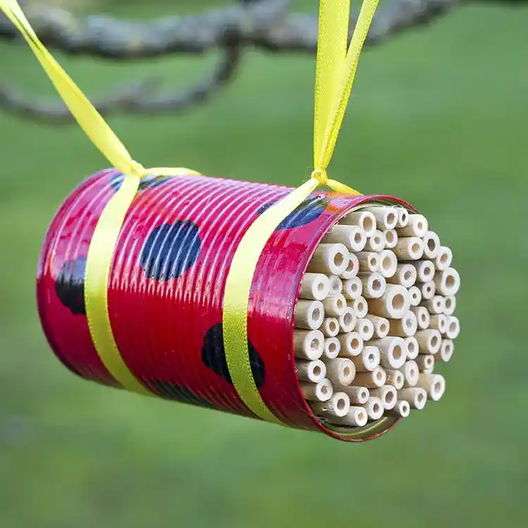 tin can bug craft