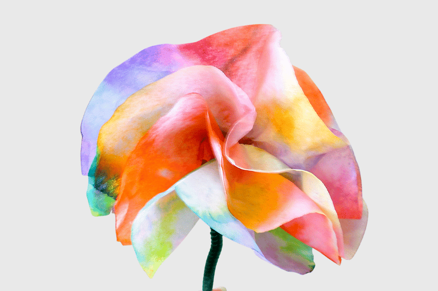 coffee filter flowers