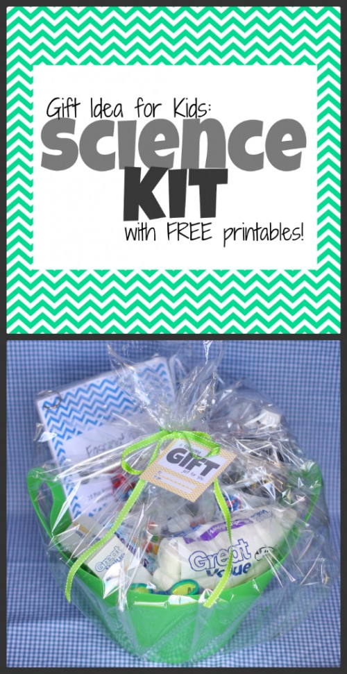 kids science kit basket