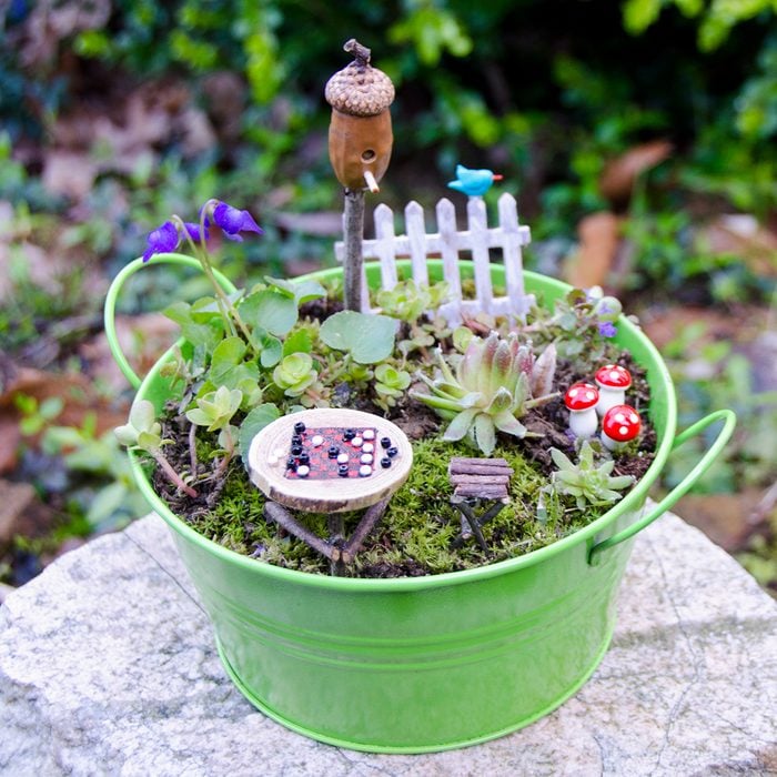 diy-fairy-garden