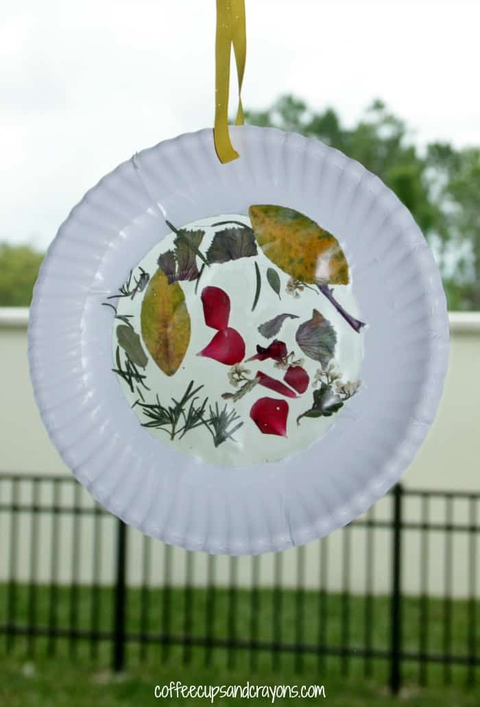 nature-sun-catcher