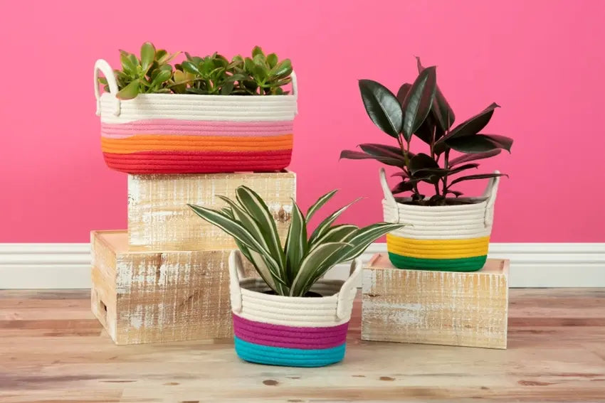 painted rope basket