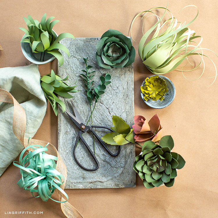 paper succulents