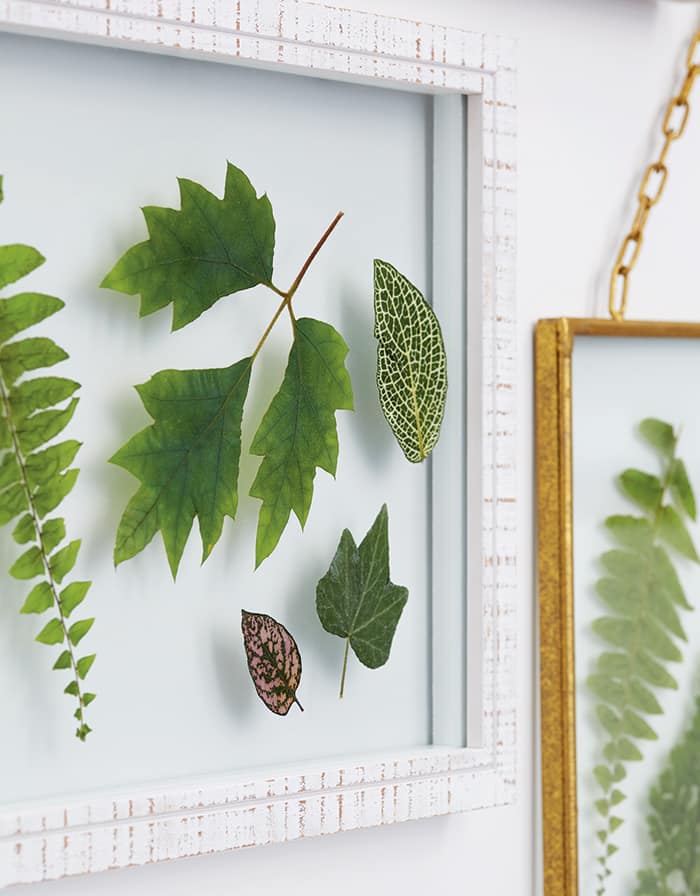 pressed leaf wall art