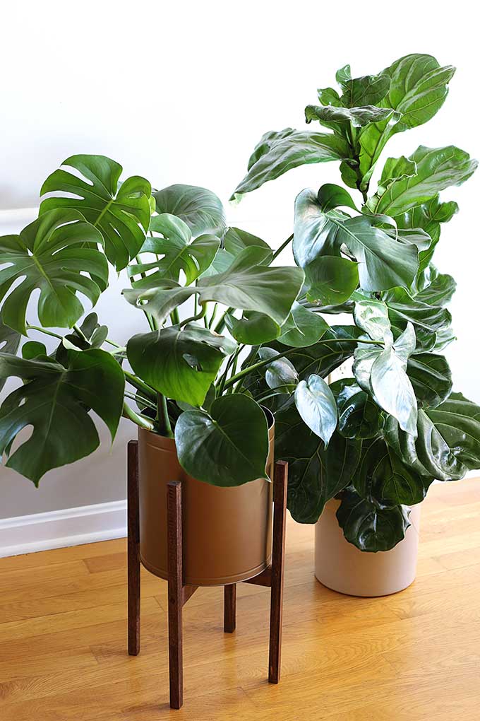 mid-century-modern-plant-stand