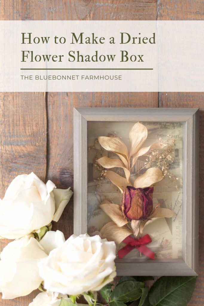 dried-flower-shadow-box