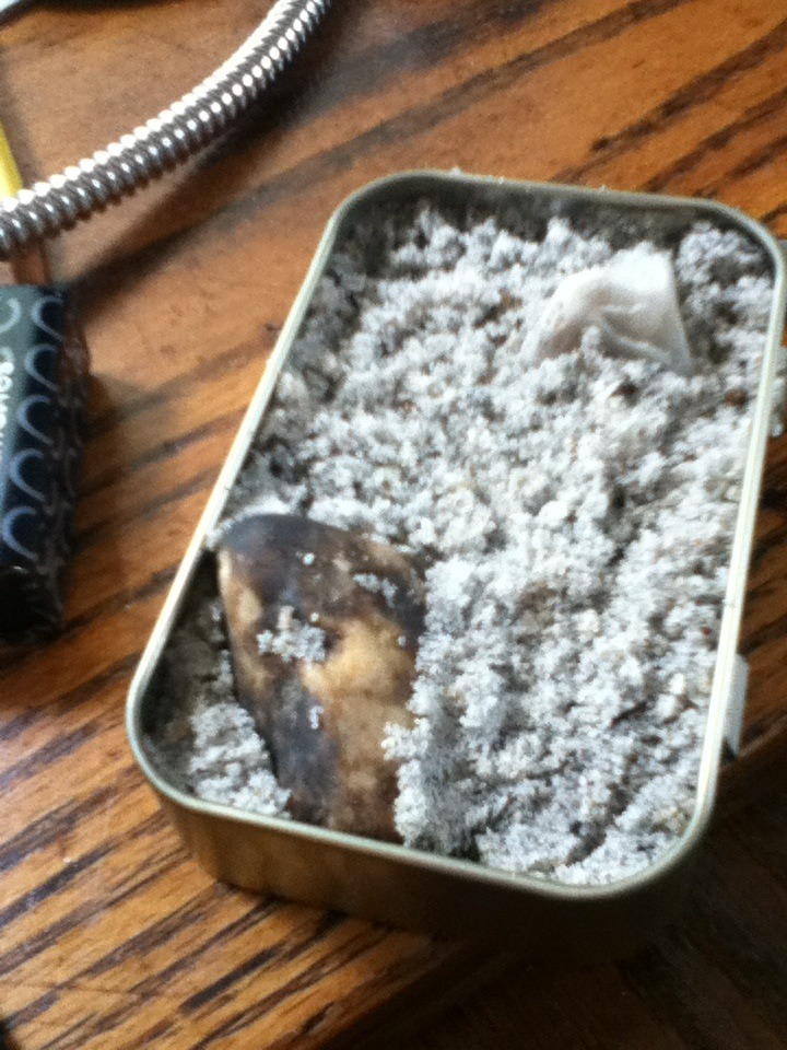 miniature zen garden altoid tin