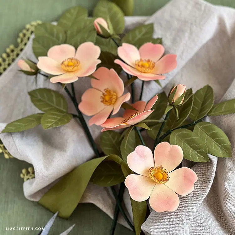 cardstock paper roses