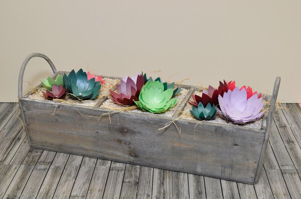 paper succulents basket