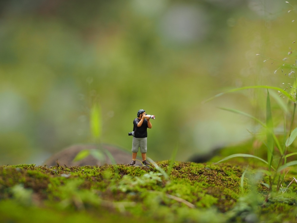 miniature photos