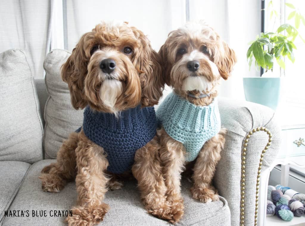 crochet dog sweater