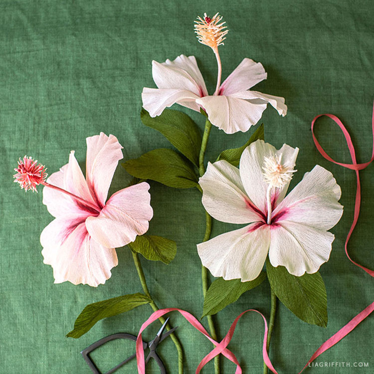 paper hibiscus flower
