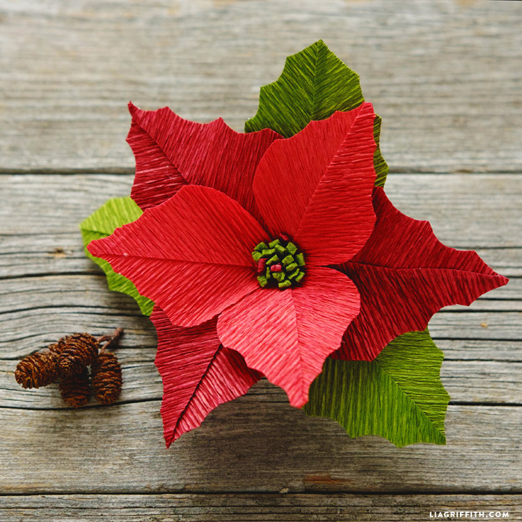 paper poinsettia