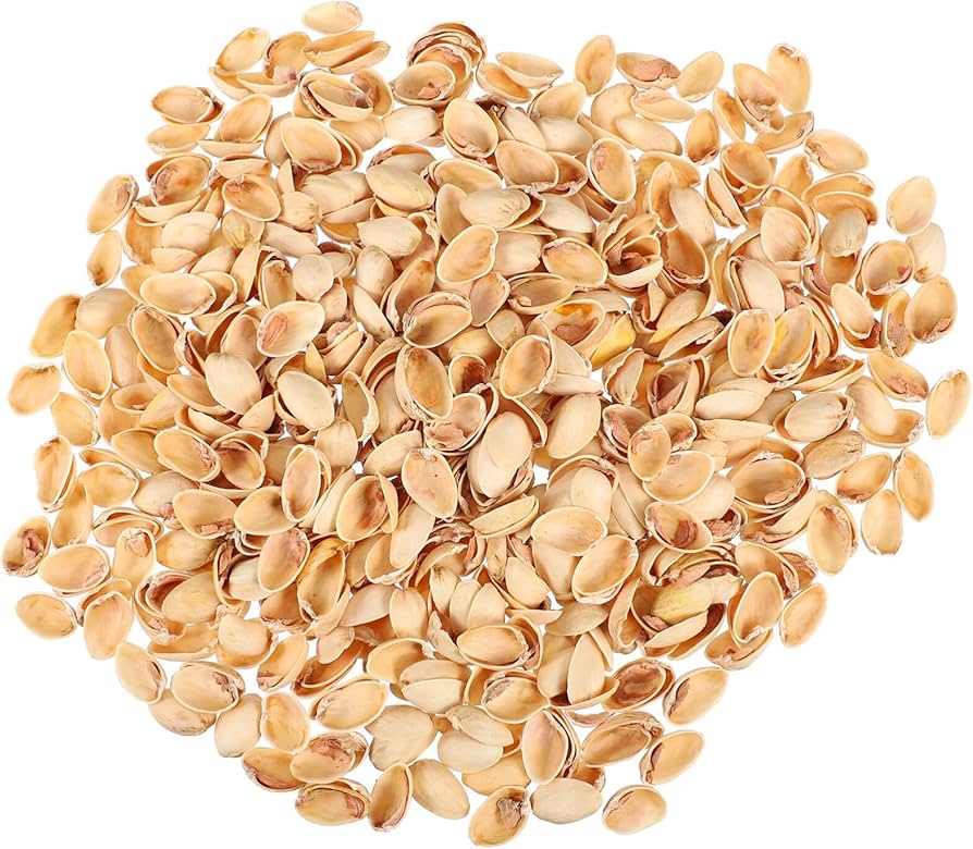 pistachio shells craft supplies