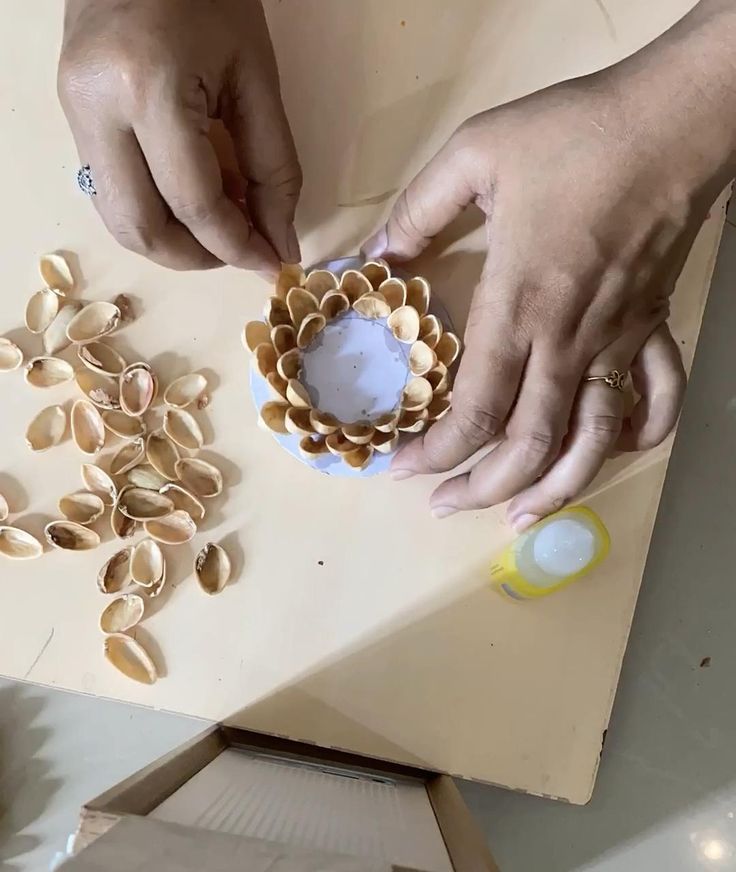 pistachio shell scallop art