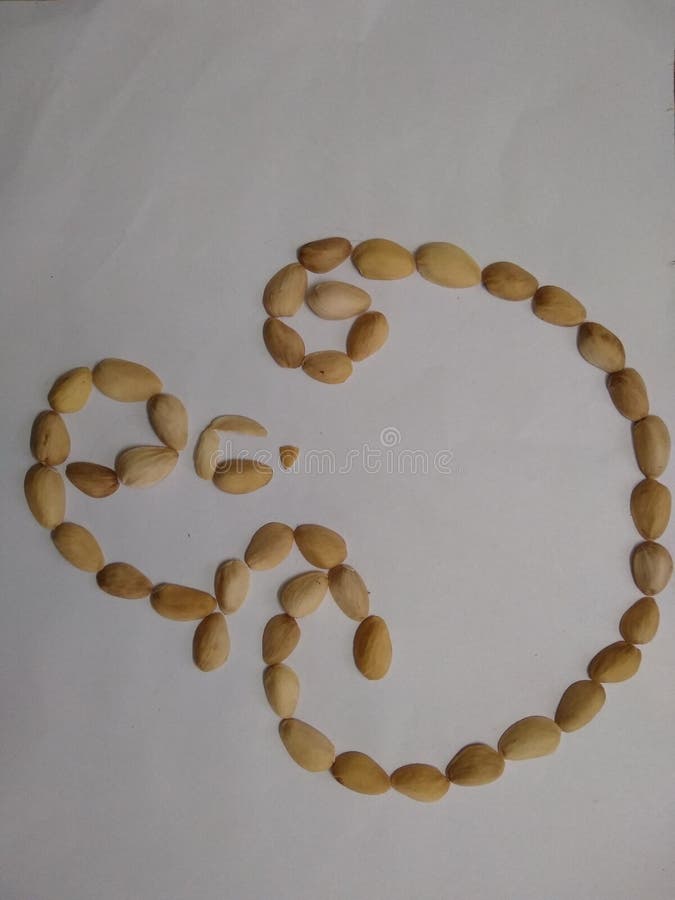 pistachio shell letter art