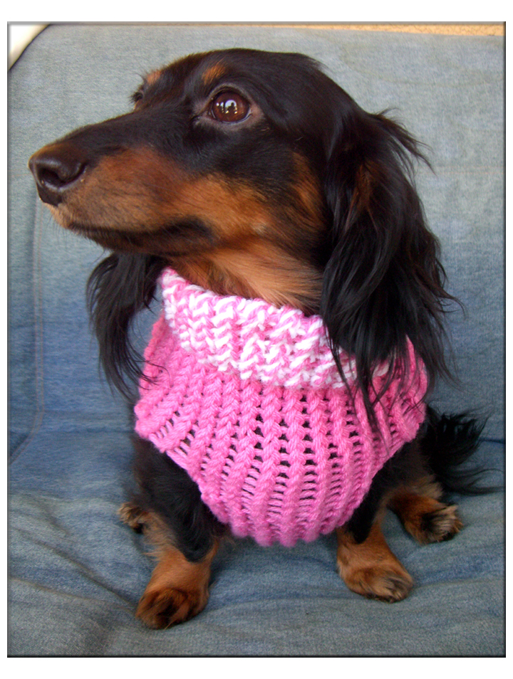 loom knit dog sweater