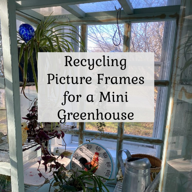 miniature greenhouse picture frames