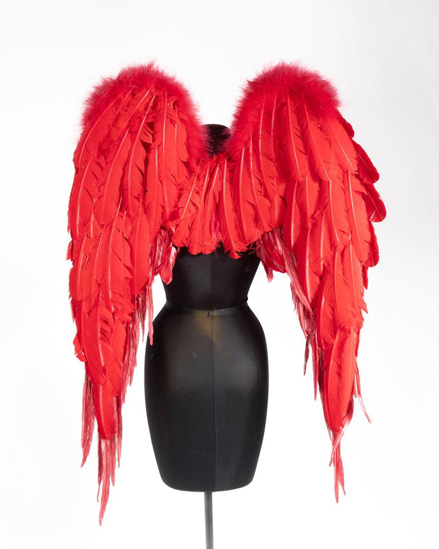 feather angel wings