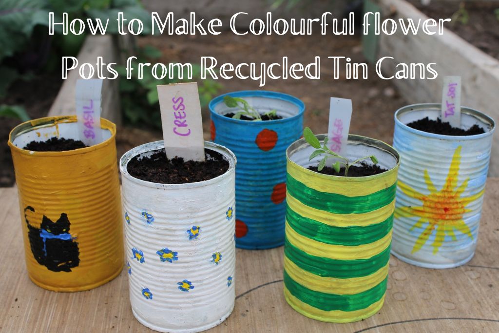 tin cans with plants on outdoor windowsill