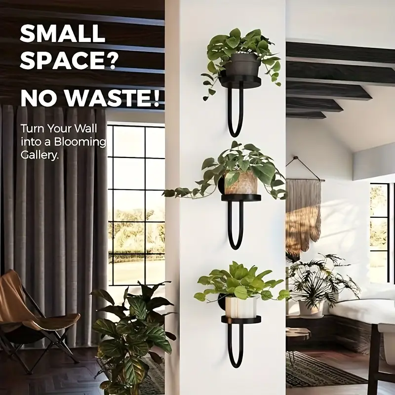 wall mounted planters with succulents container garden small space