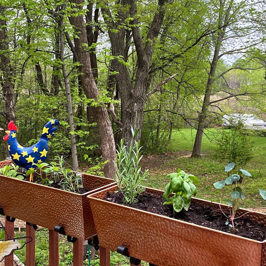 balcony rail planter with herbs container garden small space